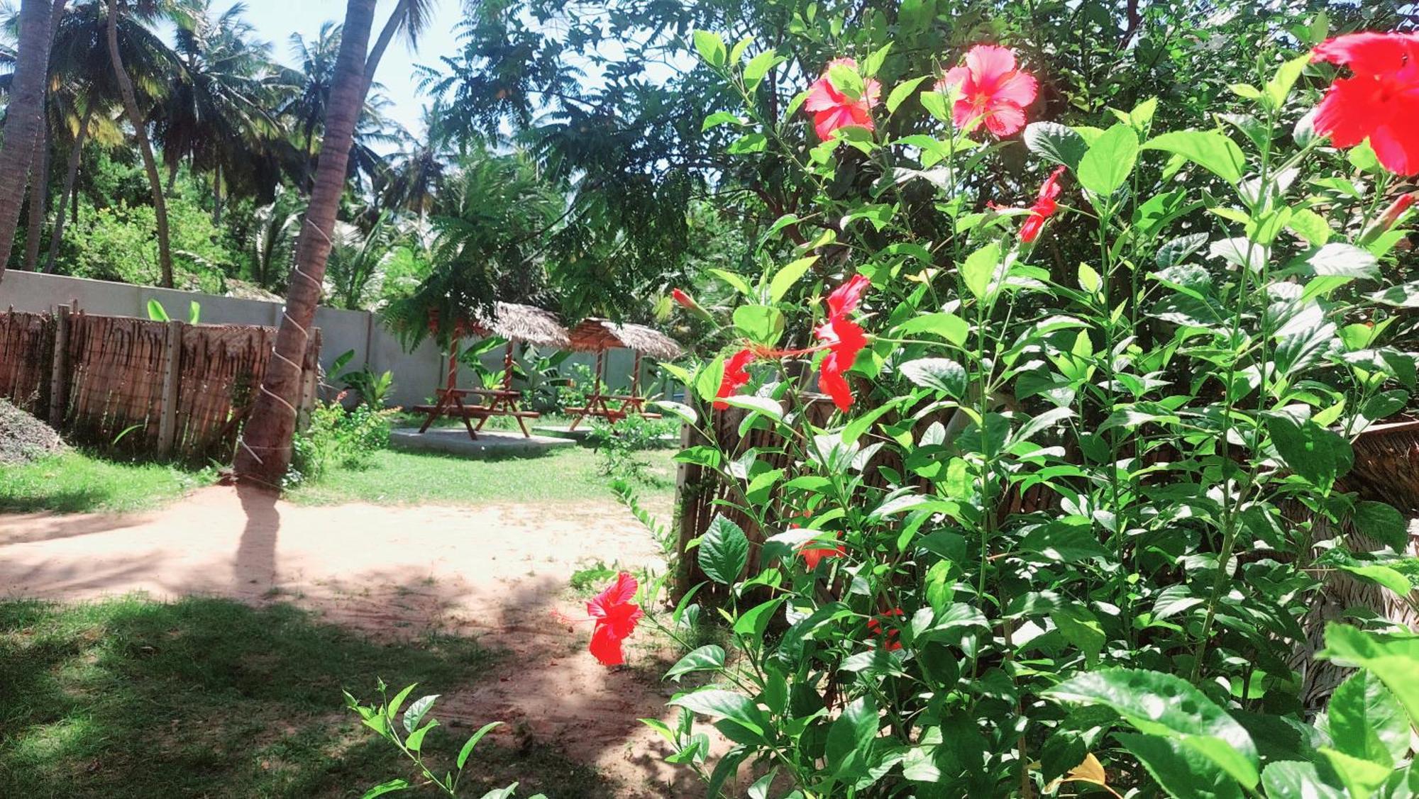 The Dream Inn Guesthouse Passikudah Batticaloa Exterior photo